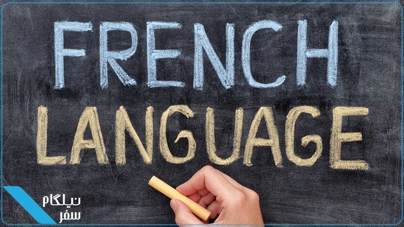 تاثیر زبان برای تحصیل رایگان در فرانسه